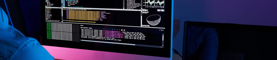 Özel Yazılım Hizmetleri