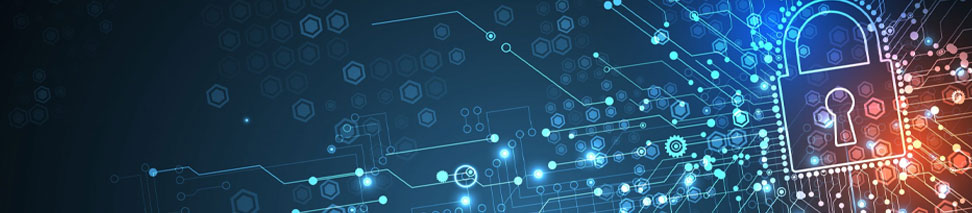 Siber Güvenlik Hizmetleri